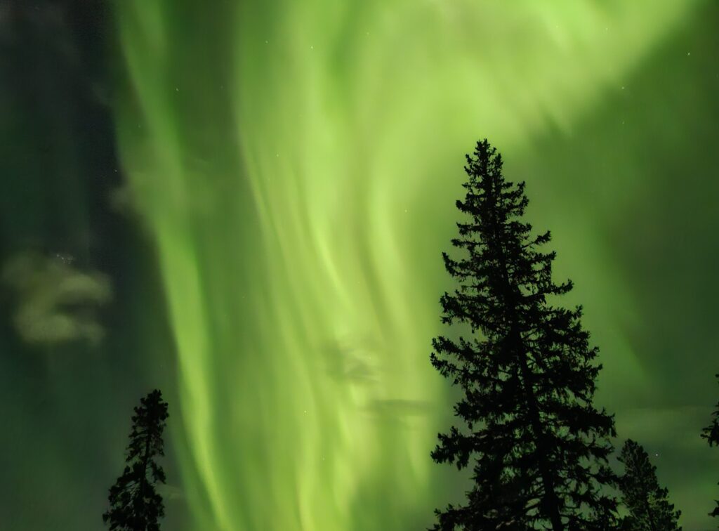 Private Northern Lights Husky Tour