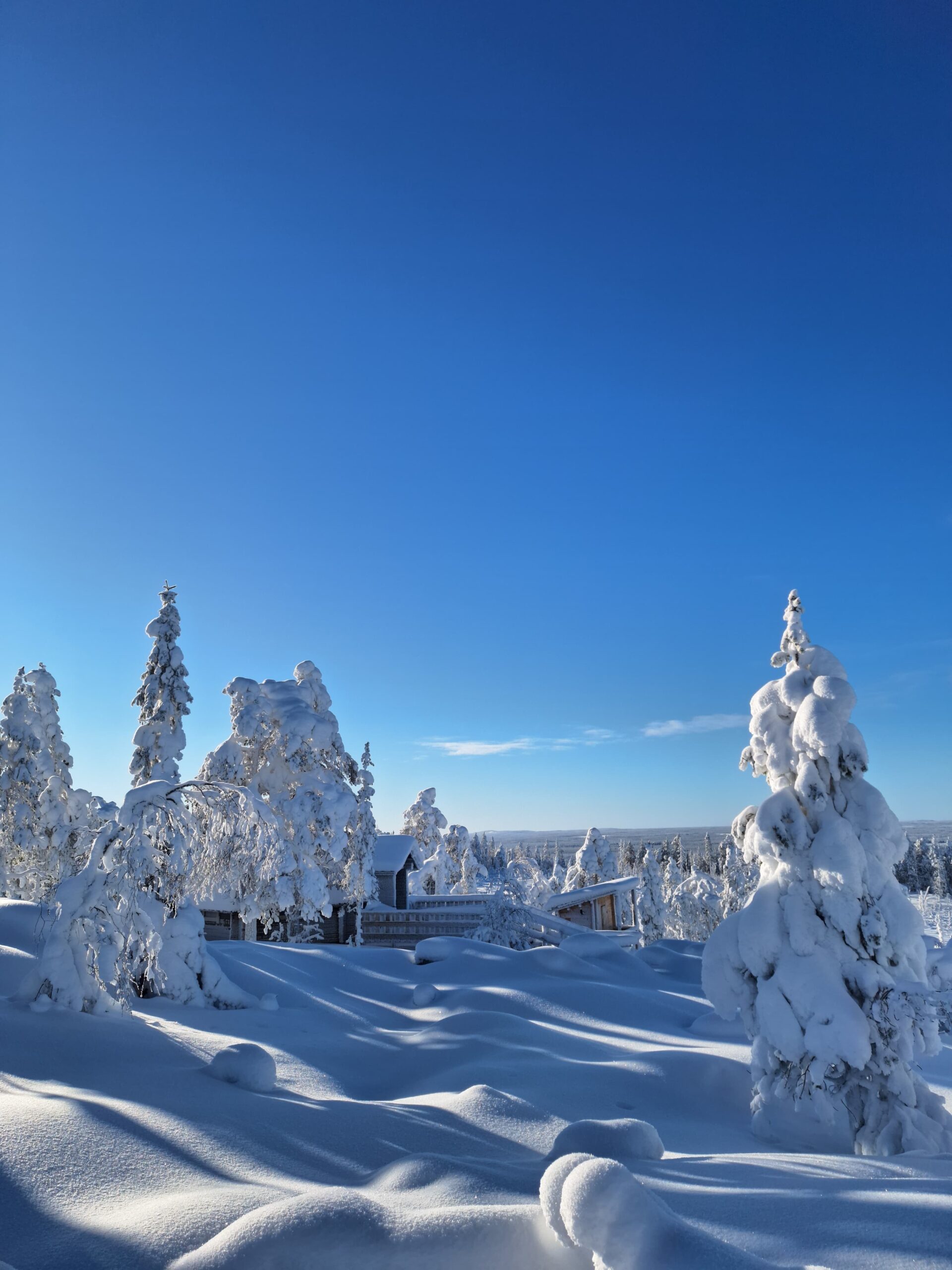 Snow covered trees and a hilltop kota with a panoramic view